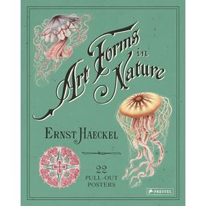 Kira Uthoff Ernst Haeckel: Art Forms in Nature: 22 Pull-Out Posters Kira Uthoff Ernst Haeckel: Art Forms in Nature: 22 Pull-Out Posters
