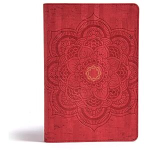 CSB Bibles by Holman CSB Essential Teen Study Bible, Red Flower Cork LeatherTouch: Christian Standard Bible, Essential Teen Study Bible, Red Flower Cork Leathertouch CSB Bibles by Holman CSB Essential Teen Study Bible, Red Flower Cork LeatherTouch: Christian Standard Bible, Essential Teen Study Bible, Red Flower Cork Leathertouch