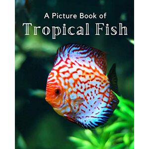 A Bee's Life Press A Picture Book of Tropical Fish: A Beautiful Picture Book for Seniors With Alzheimer’s or Dementia.: 3 (Picture Books For Seniors) A Bee's Life Press A Picture Book of Tropical Fish: A Beautiful Picture Book for Seniors With Alzheimer’s or Dementia.: 3 (Picture Books For Seniors)