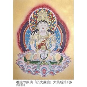 加藤 康成 唯識の原典『摂大乗論』大集成第1巻: 無著の論と世親・無性の釈—主要漢訳聖典からの全現代語訳 加藤 康成 唯識の原典『摂大乗論』大集成第1巻: 無著の論と世親・無性の釈—主要漢訳聖典からの全現代語訳