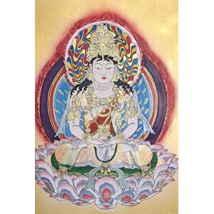 Kato, Yasunari The Lankavatara Sutra in Modern English Volume1: Featuring Three Foundational Chinese Translations and Two Key Commentaries Kato, Yasunari The Lankavatara Sutra in Modern English Volume1: Featuring Three Foundational Chinese Translations and Two Key Commentaries