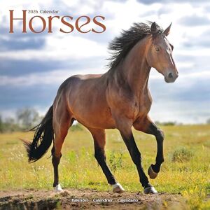 Avonside Publishing Ltd Horses 2026 Calendar Square Wall Calendar Animal Gift Plastic Free Packaging by Avonside Publishing Avonside Publishing Ltd Horses 2026 Calendar Square Wall Calendar Animal Gift Plastic Free Packaging by Avonside Publishing