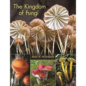 Petersen, Jens H. The Kingdom of Fungi Petersen, Jens H. The Kingdom of Fungi