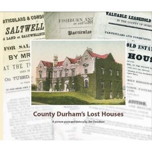 Davidson, Jim County Durham's Lost Houses: A Picture Postcard History Davidson, Jim County Durham's Lost Houses: A Picture Postcard History
