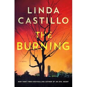 Castillo, Linda The Burning: A Novel: 16 (Kate Burkholder) Castillo, Linda The Burning: A Novel: 16 (Kate Burkholder)