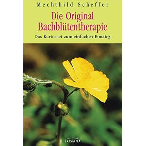 Scheffer, Mechthild Die Original Bachblütentherapie: Das Kartenset zum einfachen Einstieg. Mit 50 Karten Scheffer, Mechthild Die Original Bachblütentherapie: Das Kartenset zum einfachen Einstieg. Mit 50 Karten