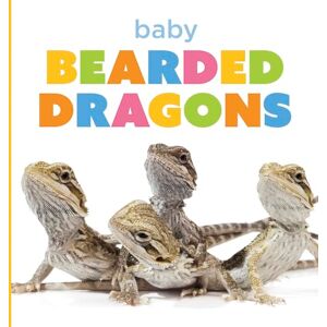 Murray, Laura K Baby Bearded Dragons (Starting Out) Murray, Laura K Baby Bearded Dragons (Starting Out)