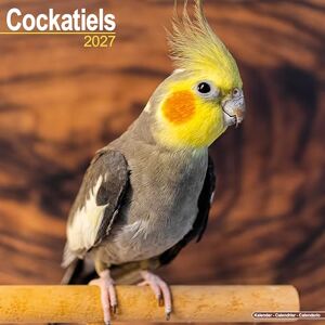 Avonside Publishing Ltd Cockatiels 2027 Calendar Square Wall Calendar Bird Gift Plastic Free Packaging by Avonside Publishing Avonside Publishing Ltd Cockatiels 2027 Calendar Square Wall Calendar Bird Gift Plastic Free Packaging by Avonside Publishing