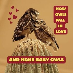 King, Heather How Owls Fall in Love and Make Baby Owls: A cute story about two burrowing owls that fall in love King, Heather How Owls Fall in Love and Make Baby Owls: A cute story about two burrowing owls that fall in love