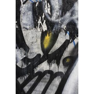 Peak, Mr Ronald D The Veil of Sovereignty Peak, Mr Ronald D The Veil of Sovereignty