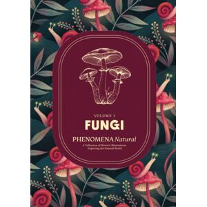 DreamFront Publishing FUNGI Phenomena Natural, A Collection of Historic Illustrations Depicting the Natural World, Volume 1: Fungi Coffee Table Book of Botanical Mushroom ... Field Sketches, and Paintings by Naturalists DreamFront Publishing FUNGI Phenomena Natural, A Collection of Historic Illustrations Depicting the Natural World, Volume 1: Fungi Coffee Table Book of Botanical Mushroom ... Field Sketches, and Paintings by Naturalists