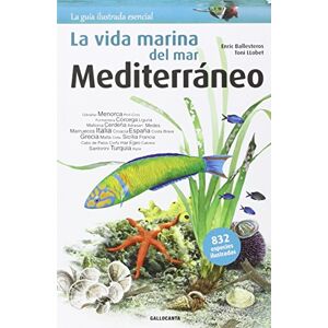 Ballesteros i Sagarra, Enric La vida marina del mar Mediterráneo Ballesteros i Sagarra, Enric La vida marina del mar Mediterráneo