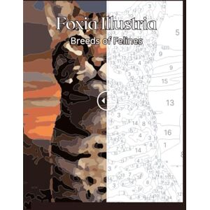 Illustria, Foxia Breeds of Felines 40 Majestic Cat Portraits Paint by Number Coloring Book Illustria, Foxia Breeds of Felines 40 Majestic Cat Portraits Paint by Number Coloring Book