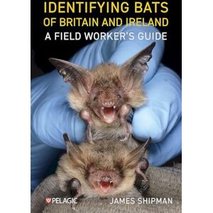 Shipman, James Identifying Bats of Britain and Ireland: A Field Worker’s Guide (Pelagic Identification Guides) Shipman, James Identifying Bats of Britain and Ireland: A Field Worker’s Guide (Pelagic Identification Guides)