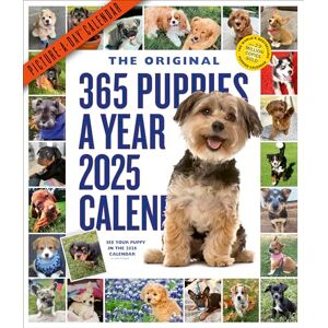 Workman Calendars 365 Puppies-A-Year Picture-A-Day® Wall Calendar 2025 Workman Calendars 365 Puppies-A-Year Picture-A-Day® Wall Calendar 2025