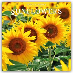 Red Robin Publishing Sunflowers 2025 Square Wall Calendar Red Robin Publishing Sunflowers 2025 Square Wall Calendar