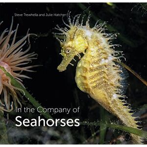 Trewhella, Steve In the Company of Seahorses: 8 (Wild Nature Press) Trewhella, Steve In the Company of Seahorses: 8 (Wild Nature Press)