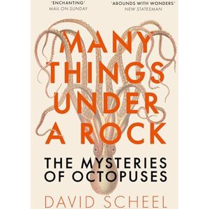 Scheel, David Many Things Under a Rock: The ‘mind-blowing’ book that reveals the mysteries of the octopus, perfect for all science enthusiasts and fans of David Attenborough Scheel, David Many Things Under a Rock: The ‘mind-blowing’ book that reveals the mysteries of the octopus, perfect for all science enthusiasts and fans of David Attenborough