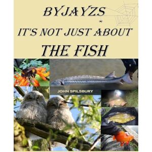 Jayzs It's Not Just About the Fish Jayzs It's Not Just About the Fish