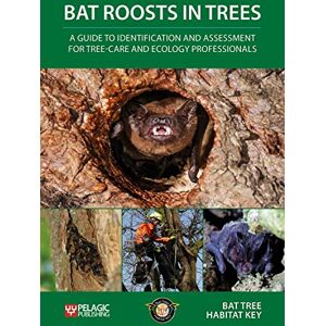 Bat Tree Habitat Key Bat Roosts in Trees: A Guide to Identification and Assessment for Tree-Care and Ecology Professionals Bat Tree Habitat Key Bat Roosts in Trees: A Guide to Identification and Assessment for Tree-Care and Ecology Professionals