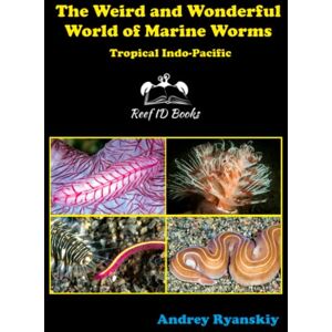 Ryanskiy, Andrey The Weird and Wonderful World of Marine Worms: Tropical Indo-Pacific (Coral Reef Academy: Indo-Pacific Photo Guides) Ryanskiy, Andrey The Weird and Wonderful World of Marine Worms: Tropical Indo-Pacific (Coral Reef Academy: Indo-Pacific Photo Guides)