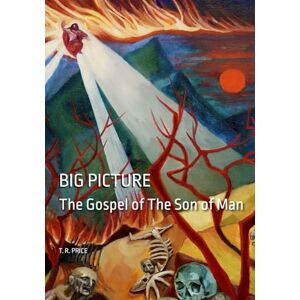 Price, T. R Big Picture: The Gospel of the Son of Man Large Print Price, T. R Big Picture: The Gospel of the Son of Man Large Print
