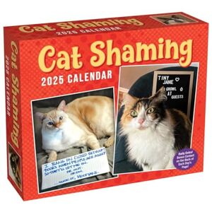 Andrews McMeel Publishing Cat Shaming 2025 Day-to-Day Calendar Andrews McMeel Publishing Cat Shaming 2025 Day-to-Day Calendar