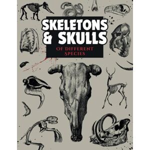 Aladdin Skeletons & Skulls of Different Species: An Image Archive Reference Book for Designers and Artists – Over 150 Animal Anatomy Designs (Artistic Inspiration Series) Aladdin Skeletons & Skulls of Different Species: An Image Archive Reference Book for Designers and Artists – Over 150 Animal Anatomy Designs (Artistic Inspiration Series)