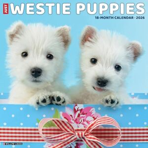 Willow Creek Press Westie Puppies 2026 12 X 12 Wall Calendar Willow Creek Press Westie Puppies 2026 12 X 12 Wall Calendar