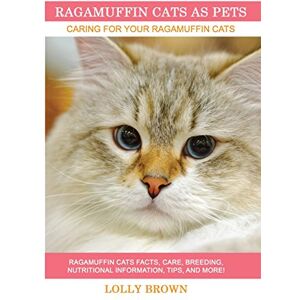 Brown, Lolly Ragamuffin Cats As Pets: Ragamuffin Cats facts, care, breeding, nutritional information, tips, and more! Caring For Your Ragamuffin Cats Brown, Lolly Ragamuffin Cats As Pets: Ragamuffin Cats facts, care, breeding, nutritional information, tips, and more! Caring For Your Ragamuffin Cats