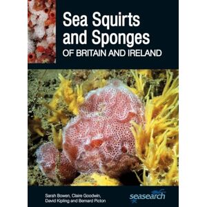 Sarah Bowen;Claire Goodwin;David Kipling;Bernard Picton Sea Squirts and Sponges of Britain and Ireland: 11 (Wild Nature Press) Sarah Bowen;Claire Goodwin;David Kipling;Bernard Picton Sea Squirts and Sponges of Britain and Ireland: 11 (Wild Nature Press)