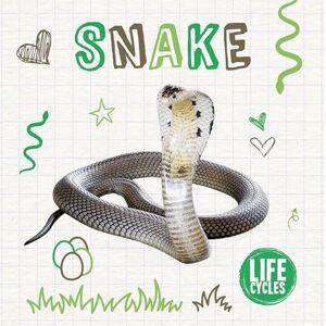 Duhig,Holly Snake (Life Cycles) Duhig,Holly Snake (Life Cycles)