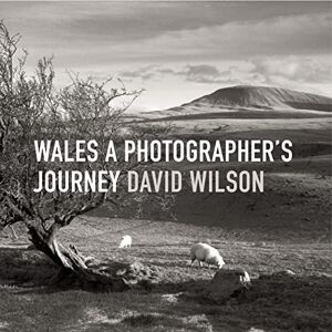Wilson Wales: A Photographer's Journey Wilson Wales: A Photographer's Journey