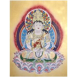 Kato, Yasunari The Lion's Roar of Queen Shrimala Volume01: The Mahayana Sutra on the One Vehicle and Tathagatagarbha, with a Complete Collection of its Classical East Asian Commentaries Kato, Yasunari The Lion's Roar of Queen Shrimala Volume01: The Mahayana Sutra on the One Vehicle and Tathagatagarbha, with a Complete Collection of its Classical East Asian Commentaries