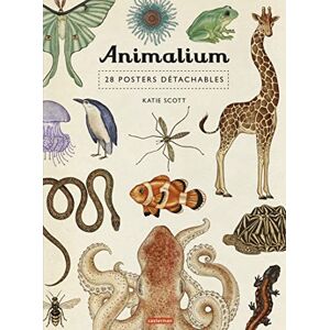 Scott Encyclopedium Animalium: 28 posters détachables Scott Encyclopedium Animalium: 28 posters détachables