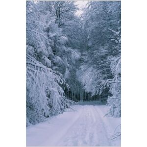 Coursin Leblanc De Haute Lande, Ghislaine L' ICEBERG, SEUL TEMOIN DE NOTRE AMOUR: Sur la banquise, j'ai gravé nos prénoms Coursin Leblanc De Haute Lande, Ghislaine L' ICEBERG, SEUL TEMOIN DE NOTRE AMOUR: Sur la banquise, j'ai gravé nos prénoms