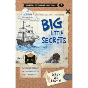 Lee Big Little Secrets: 2 (Feathers, Treasures & Sandy Paws) Lee Big Little Secrets: 2 (Feathers, Treasures & Sandy Paws)