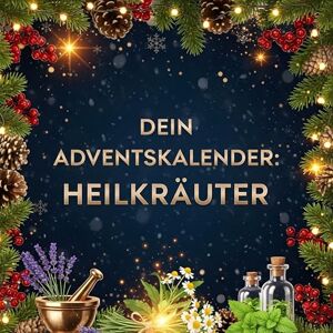 Scholz, Alice Dein Adventskalender: Heilkräuter: 24 inspirierende Tage bis Weihnachten Scholz, Alice Dein Adventskalender: Heilkräuter: 24 inspirierende Tage bis Weihnachten