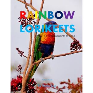 Sar, Katia Rainbow Lorikeets: A perfect Coffee Table Picture Book Bird Watchers and Nature Enthusiasts Sar, Katia Rainbow Lorikeets: A perfect Coffee Table Picture Book Bird Watchers and Nature Enthusiasts