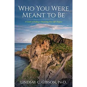 Gibson Who You Were Meant to Be: A Guide to Rediscovering Your Life's Purpose Gibson Who You Were Meant to Be: A Guide to Rediscovering Your Life's Purpose