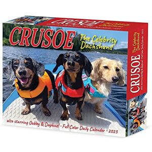 Willow Creek Crusoe the Celebrity Dachshund 2023 Box Calendar Willow Creek Crusoe the Celebrity Dachshund 2023 Box Calendar