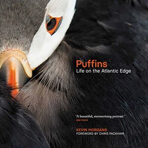 Kevin Morgans Puffins: Life on the Atlantic Edge Kevin Morgans Puffins: Life on the Atlantic Edge