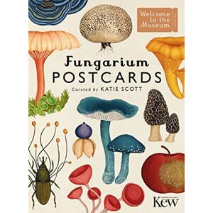 BONNIER Fungarium Postcards BONNIER Fungarium Postcards