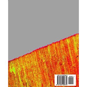 Mirsadeghi, Nazanin Modern Persian Poetry (Persian/Farsi Edition): An Anthology of Easy-to-Read Poems for Non-native Learners of the Persian Language Mirsadeghi, Nazanin Modern Persian Poetry (Persian/Farsi Edition): An Anthology of Easy-to-Read Poems for Non-native Learners of the Persian Language