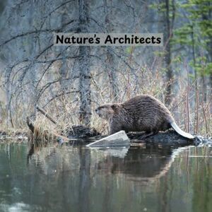 Mirembe, Brenda Nature’s Architects Mirembe, Brenda Nature’s Architects