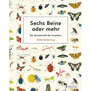 Teckentrup, Britta Sechs Beine oder mehr – Die Wunderwelt der Insekten und Spinnen Teckentrup, Britta Sechs Beine oder mehr – Die Wunderwelt der Insekten und Spinnen