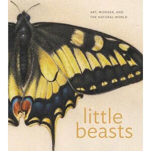 Little Beasts: Art, Wonder, and the Natural World Little Beasts: Art, Wonder, and the Natural World