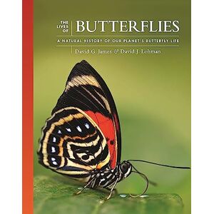 James, David G. The Lives of Butterflies: A Natural History of Our Planet's Butterfly Life: 6 (The Lives of the Natural World) James, David G. The Lives of Butterflies: A Natural History of Our Planet's Butterfly Life: 6 (The Lives of the Natural World)