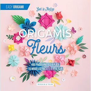 Le Neillon, Gaël Origamis fleurs: 400 pages prêtes à plier, 10 modèles faciles à réaliser Le Neillon, Gaël Origamis fleurs: 400 pages prêtes à plier, 10 modèles faciles à réaliser