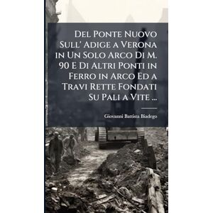 Biadego, Giovanni Battista Del Ponte Nuovo Sull' Adige a Verona in Un Solo Arco Di M. 90 E Di Altri Ponti in Ferro in Arco Ed a Travi Rette Fondati Su Pali a Vite ... Biadego, Giovanni Battista Del Ponte Nuovo Sull' Adige a Verona in Un Solo Arco Di M. 90 E Di Altri Ponti in Ferro in Arco Ed a Travi Rette Fondati Su Pali a Vite ...